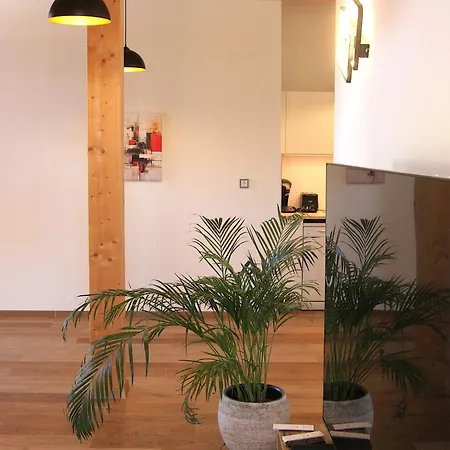 Panorama 奥巴拉马高